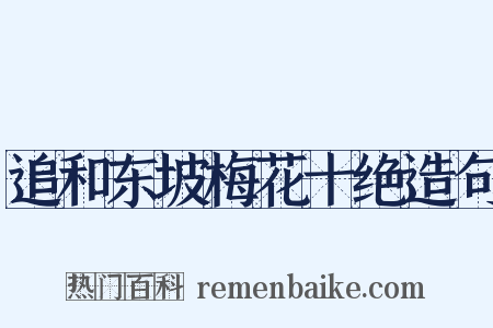 追和东坡梅花十绝造句是什么意思的图片